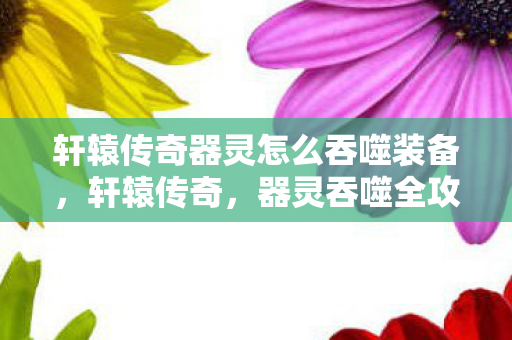 轩辕传奇器灵怎么吞噬装备，轩辕传奇，器灵吞噬全攻略