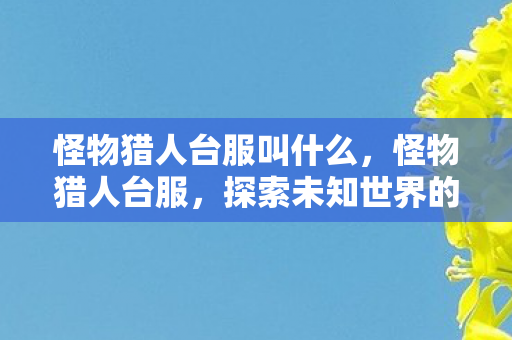 怪物猎人台服叫什么，怪物猎人台服，探索未知世界的冒险之旅