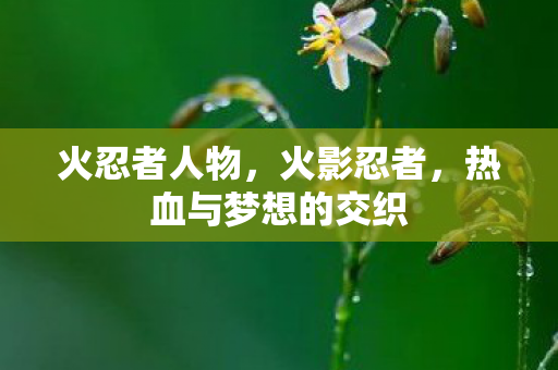 热血与梦想的交织图片