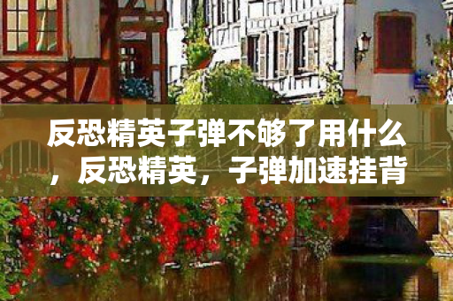 反恐精英子弹不够了用什么，反恐精英，子弹加速挂背后的真相与游戏公平性探讨