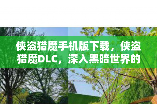 侠盗猎魔手机版下载，侠盗猎魔DLC，深入黑暗世界的冒险