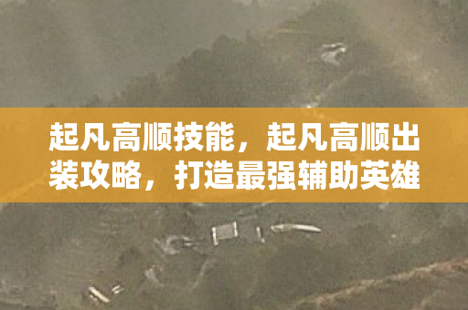 起凡高顺技能，起凡高顺出装攻略，打造最强辅助英雄