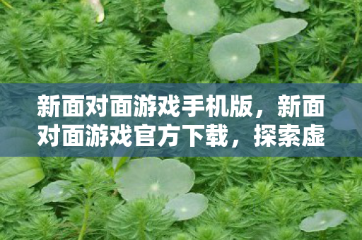 新面对面游戏手机版,新面对面游戏官方下载,探索虚拟世界的全新入口 新面对面游戏手机版,新面对面游戏官方下载,探索虚拟世界的全新入口