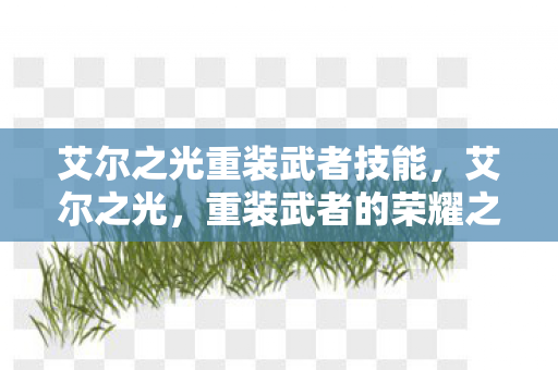 艾尔之光重装武者技能，艾尔之光，重装武者的荣耀之路