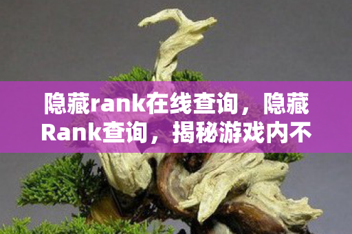 隐藏rank在线查询，隐藏Rank查询，揭秘游戏内不为人知的秘密