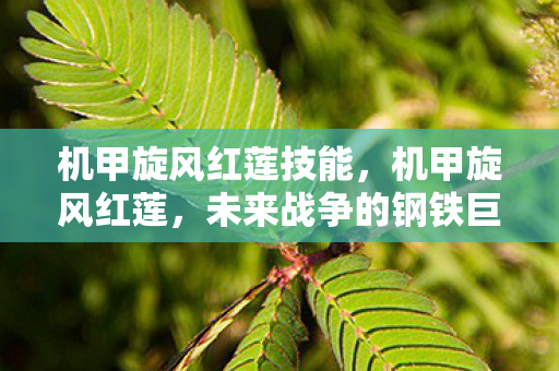 机甲旋风红莲技能,机甲旋风红莲,未来战争的钢铁巨兽 机甲旋风红莲技能,机甲旋风红莲,未来战争的钢铁巨兽