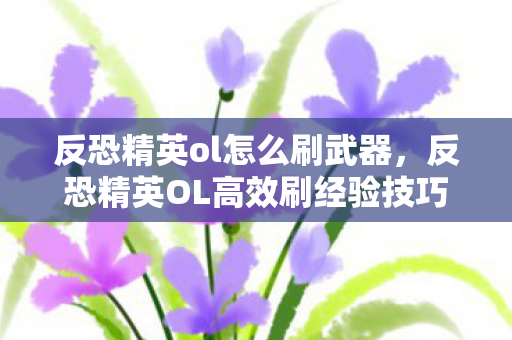 反恐精英ol怎么刷武器，反恐精英OL高效刷经验技巧与策略