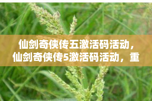 仙剑奇侠传五激活码活动，仙剑奇侠传5激活码活动，重温经典，共享情怀