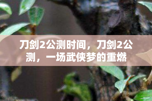 刀剑2公测时间,刀剑2公测,一场武侠梦的重燃 刀剑2公测时间,刀剑2公测,一场武侠梦的重燃