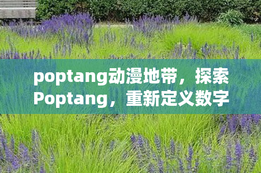 poptang动漫地带，探索Poptang，重新定义数字娱乐体验的新领域