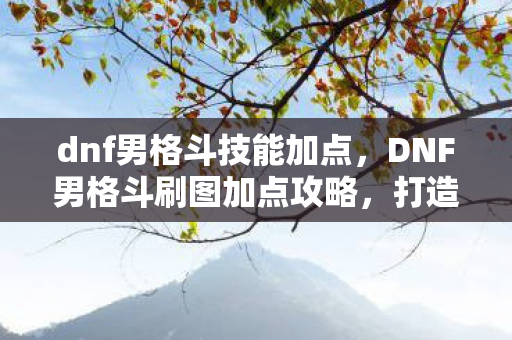 dnf男格斗技能加点，DNF男格斗刷图加点攻略，打造高效战斗风格