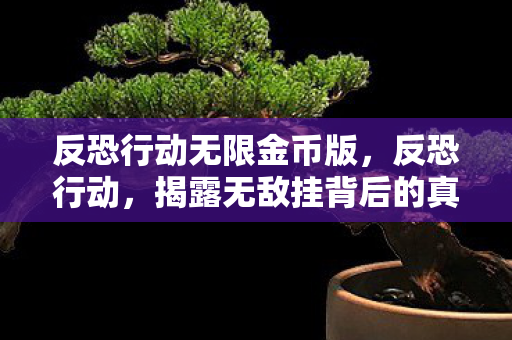 反恐行动无限金币版，反恐行动，揭露无敌挂背后的真相