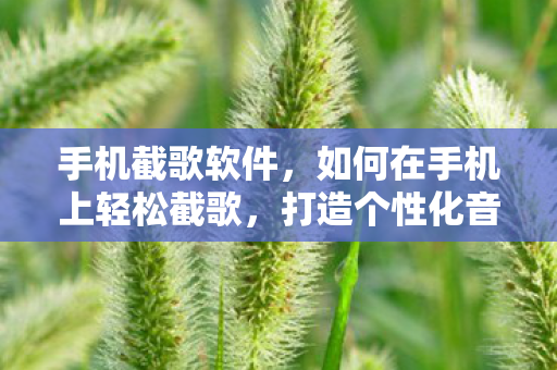 手机截歌软件，如何在手机上轻松截歌，打造个性化音乐体验