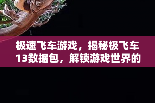 极速飞车游戏，揭秘极飞车13数据包，解锁游戏世界的秘密