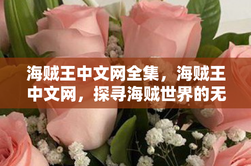 海贼王中文网全集，海贼王中文网，探寻海贼世界的无尽魅力