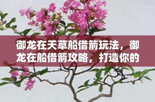 御龙在天草船借箭玩法，御龙在船借箭攻略，打造你的水上奇袭战术