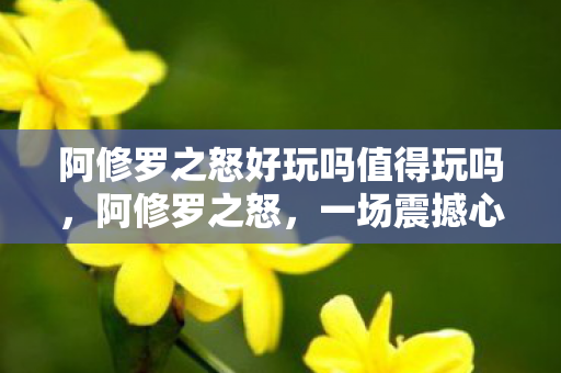 阿修罗之怒好玩吗值得玩吗，阿修罗之怒，一场震撼心灵的冒险之旅