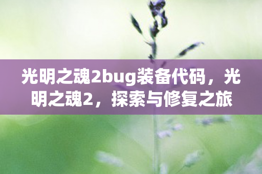 光明之魂2bug装备代码，光明之魂2，探索与修复之旅