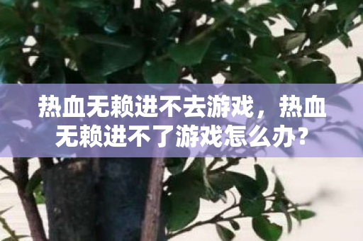 热血无赖进不去游戏,热血无赖进不了游戏怎么办? 热血无赖进不去游戏,热血无赖进不了游戏怎么办?