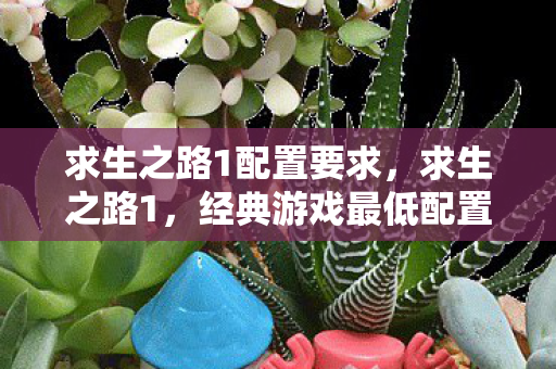 求生之路1配置要求,求生之路1,经典游戏最低配置要求及优化指南 求生之路1配置要求,求生之路1,经典游戏最低配置要求及优化指南