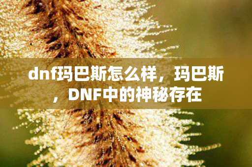 dnf玛巴斯怎么样,玛巴斯,DNF中的神秘存在 dnf玛巴斯怎么样,玛巴斯,DNF中的神秘存在
