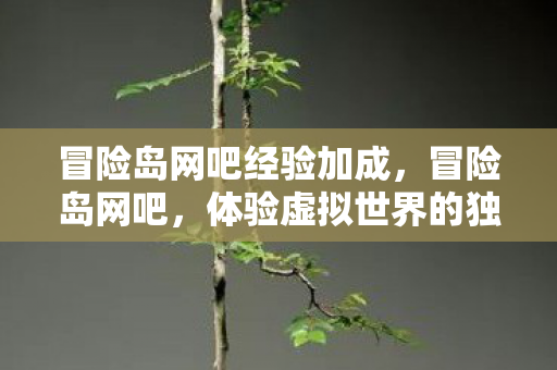 冒险岛网吧经验加成，冒险岛网吧，体验虚拟世界的独特魅力