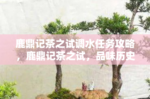 鹿鼎记茶之试调水任务攻略,鹿鼎记茶之试,品味历史与文化的独特韵味 鹿鼎记茶之试调水任务攻略,鹿鼎记茶之试,品味历史与文化的独特韵味