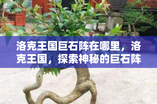 洛克王国巨石阵在哪里,洛克王国,探索神秘的巨石阵 洛克王国巨石阵在哪里,洛克王国,探索神秘的巨石阵