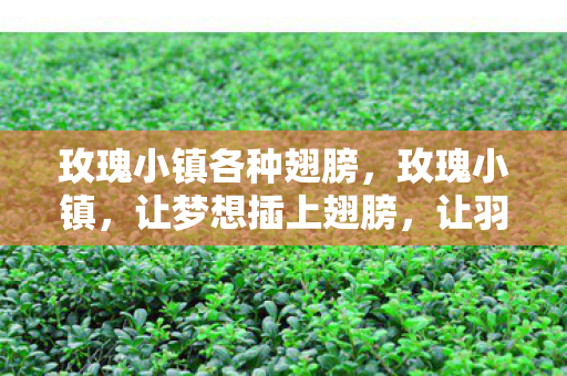 玫瑰小镇各种翅膀，玫瑰小镇，让梦想插上翅膀，让羽翼自由飞翔