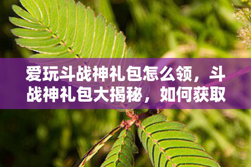 爱玩斗战神礼包怎么领,斗战神礼包大揭秘,如何获取并正确使用? 爱玩斗战神礼包怎么领,斗战神礼包大揭秘,如何获取并正确使用?