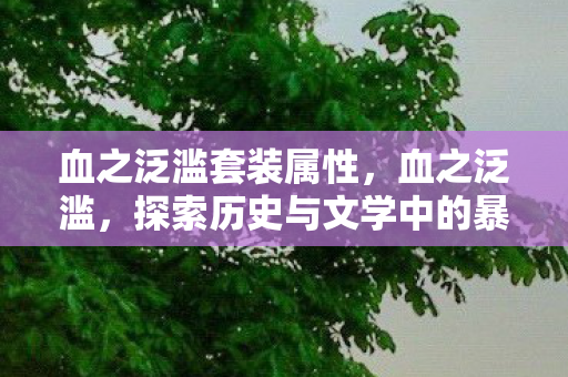 血之泛滥套装属性,血之泛滥,探索历史与文学中的暴力与救赎 血之泛滥套装属性,血之泛滥,探索历史与文学中的暴力与救赎