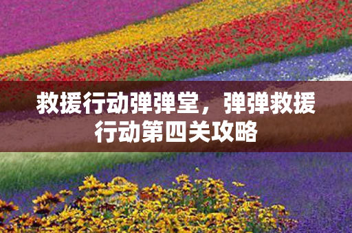 救援行动弹弹堂，弹弹救援行动第四关攻略