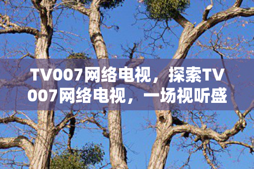 TV007网络电视，探索TV007网络电视，一场视听盛宴的全方位解析