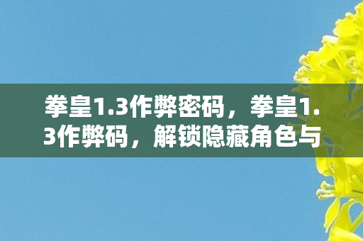 拳皇1.3作弊密码，拳皇1.3作弊码，解锁隐藏角色与无限技能