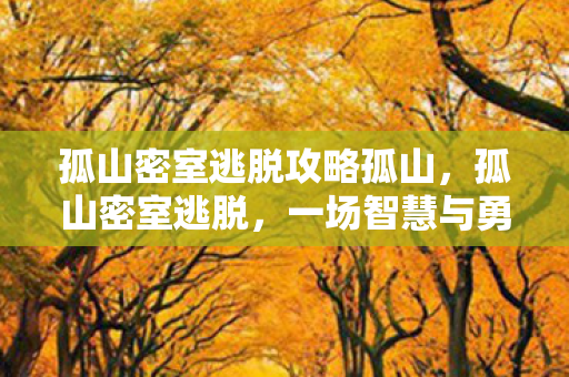 孤山密室逃脱攻略孤山，孤山密室逃脱，一场智慧与勇气的冒险