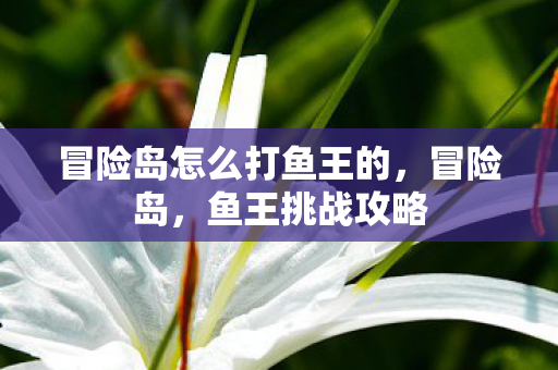 冒险岛怎么打鱼王的，冒险岛，鱼王挑战攻略