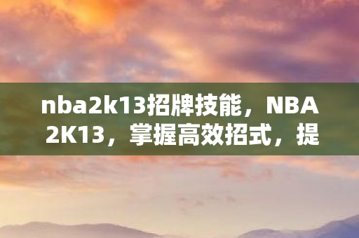 nba2k13招牌技能，NBA 2K13，掌握高效招式，提升你的游戏技巧
