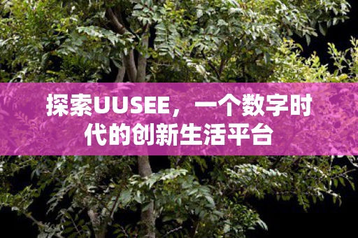 探索UUSEE,一个数字时代的创新生活平台 探索UUSEE,一个数字时代的创新生活平台