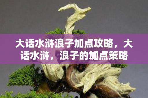 大话水浒浪子加点攻略，大话水浒，浪子的加点策略