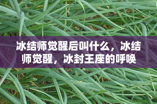 冰结师觉醒后叫什么,冰结师觉醒,冰封王座的呼唤 冰结师觉醒后叫什么,冰结师觉醒,冰封王座的呼唤