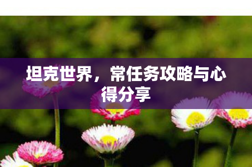 坦克世界,常任务攻略与心得分享 坦克世界,常任务攻略与心得分享