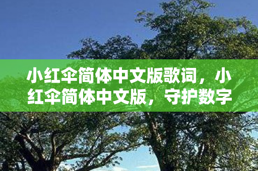 小红伞简体中文版歌词,小红伞简体中文版,守护数字时代的网络安全 小红伞简体中文版歌词,小红伞简体中文版,守护数字时代的网络安全