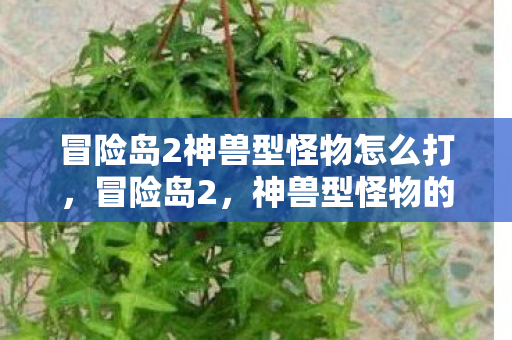 冒险岛2神兽型怪物怎么打，冒险岛2，神兽型怪物的神秘面纱