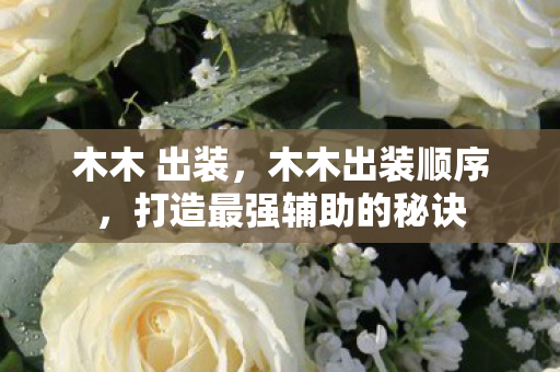 木木 出装，木木出装顺序，打造最强辅助的秘诀