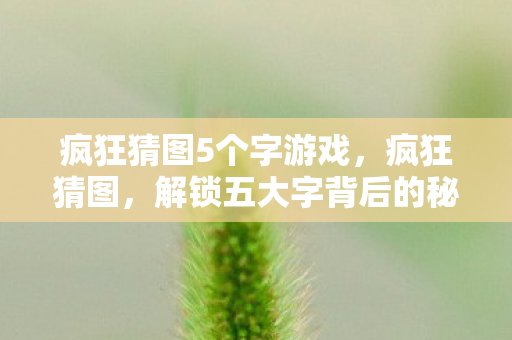 疯狂猜图5个字游戏,疯狂猜图,解锁五大字背后的秘密 疯狂猜图5个字游戏,疯狂猜图,解锁五大字背后的秘密