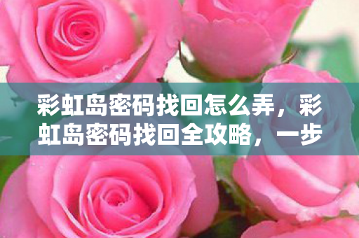 彩虹岛密码找回怎么弄，彩虹岛密码找回全攻略，一步步找回你的账号安全