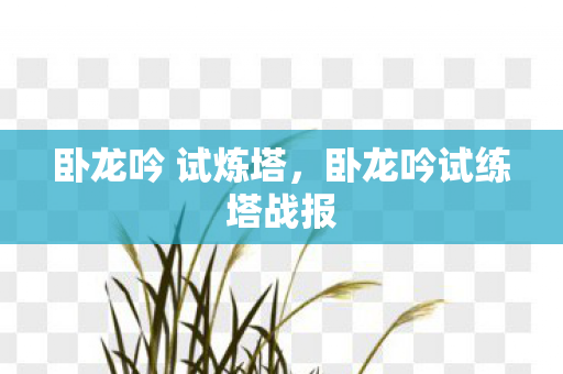 卧龙吟试练塔战报图片
