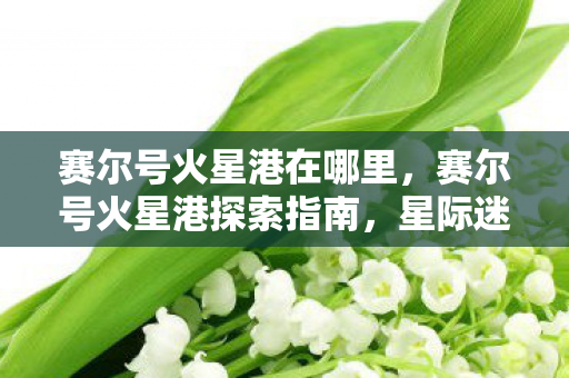 赛尔号火星港探索指南图片