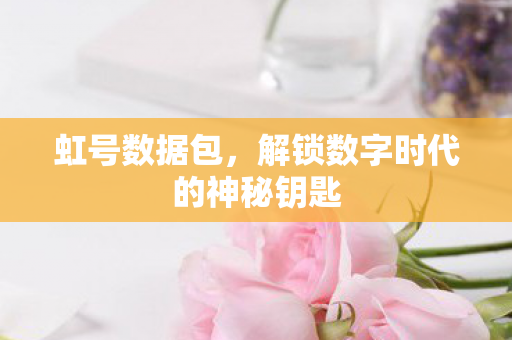虹号数据包，解锁数字时代的神秘钥匙