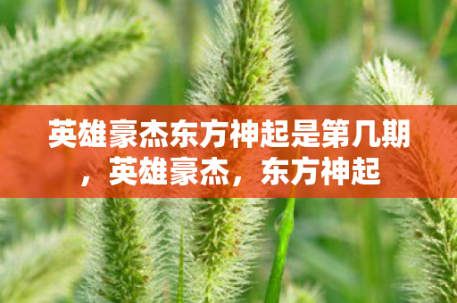 英雄豪杰东方神起是第几期，英雄豪杰，东方神起